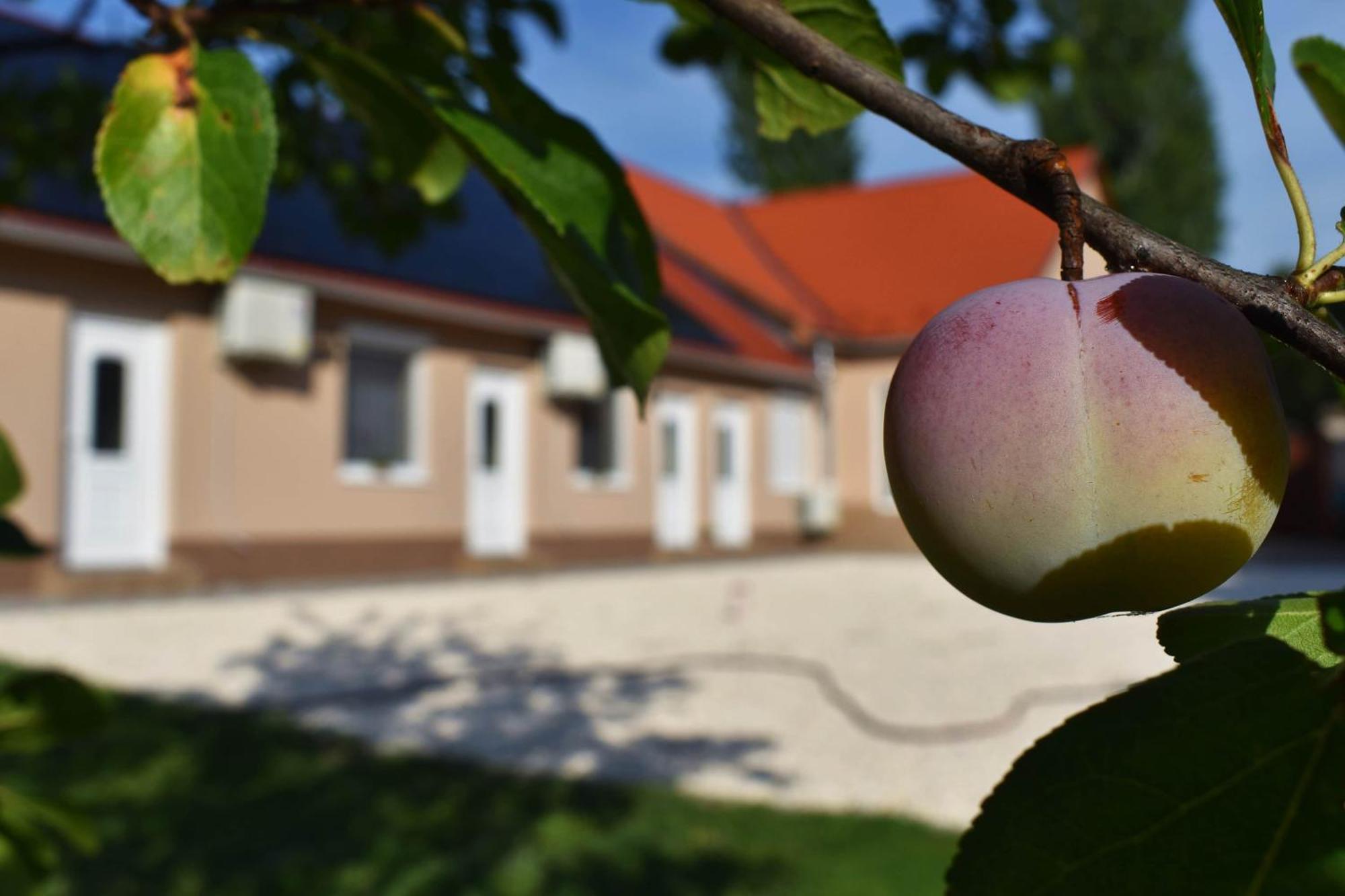 Napfeny Apartman Makó Zewnętrze zdjęcie